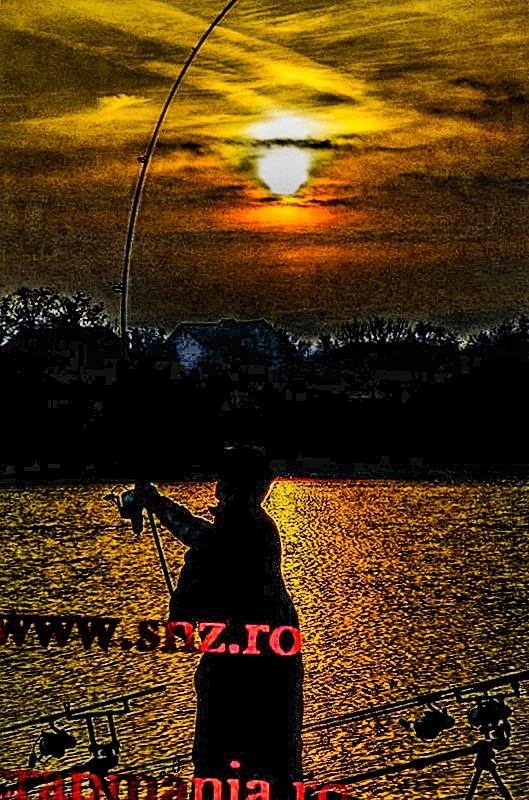 Cupa Iernii 2013 - 1032114hdrmode2.jpg